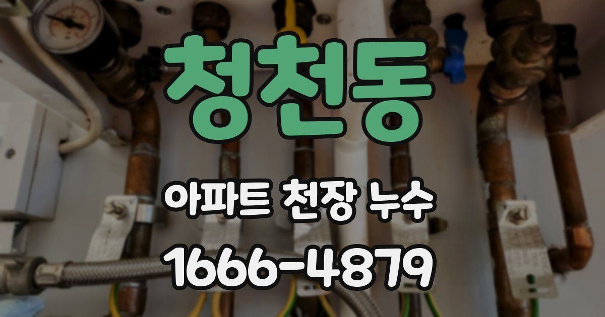 청천동 아파트 천장 누수