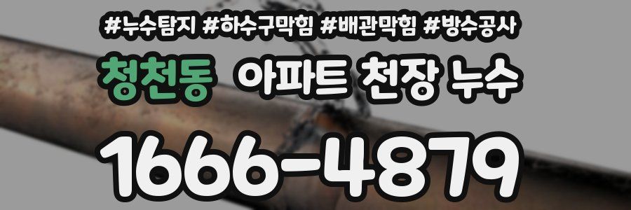 청천동 아파트 천장 누수