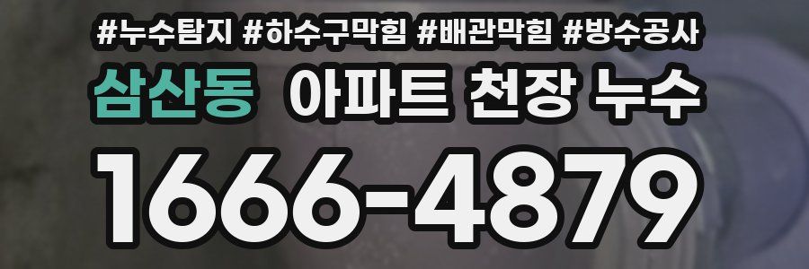 삼산동 아파트 천장 누수