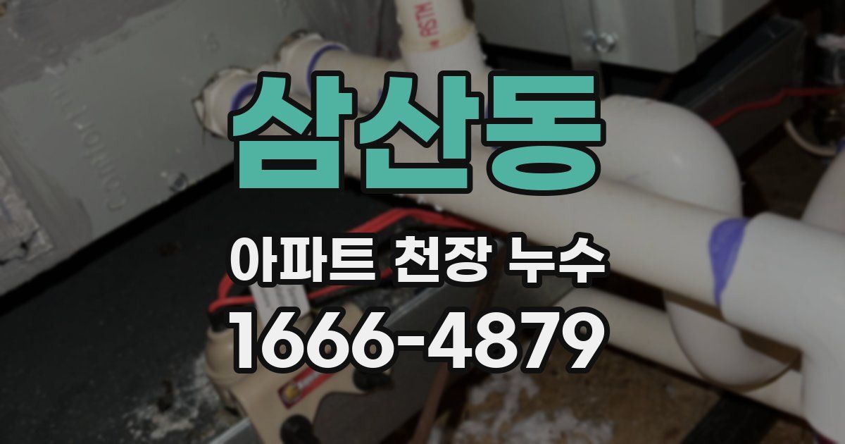삼산동 아파트 천장 누수