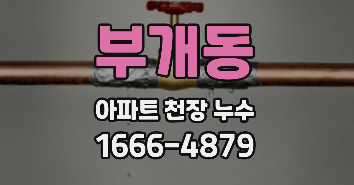 부개동 아파트 천장 누수