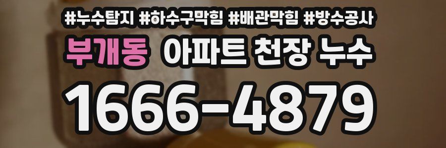 부개동 아파트 천장 누수