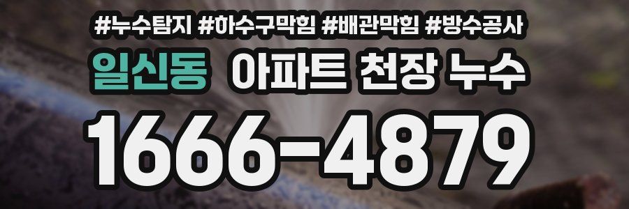 일신동 아파트 천장 누수