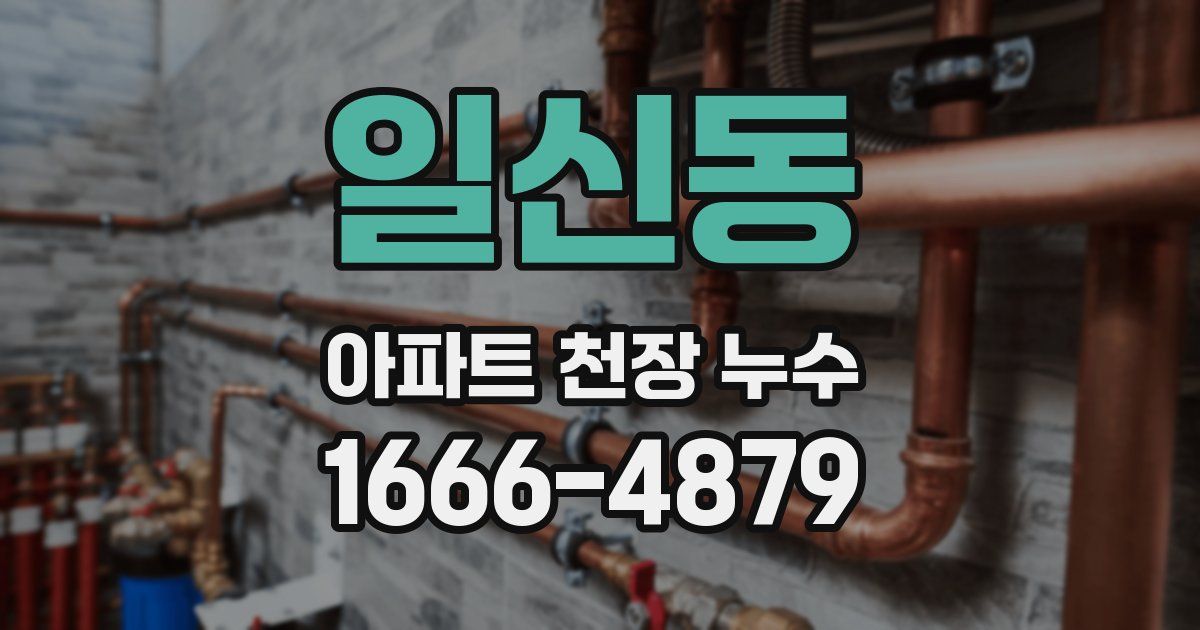 일신동 아파트 천장 누수