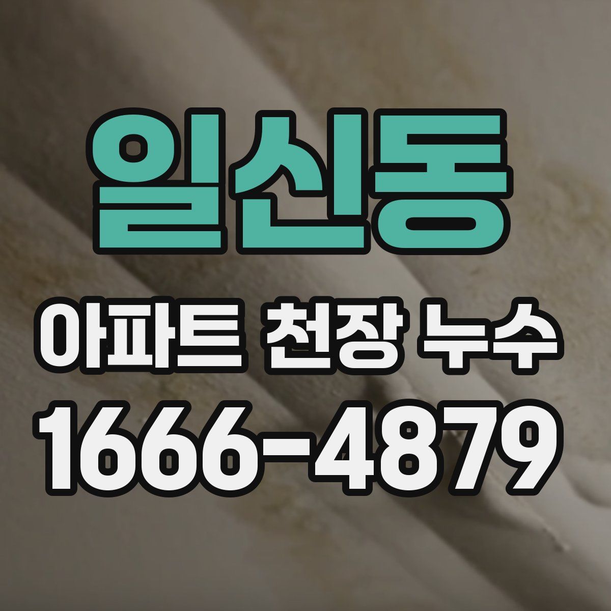 일신동 아파트 천장 누수