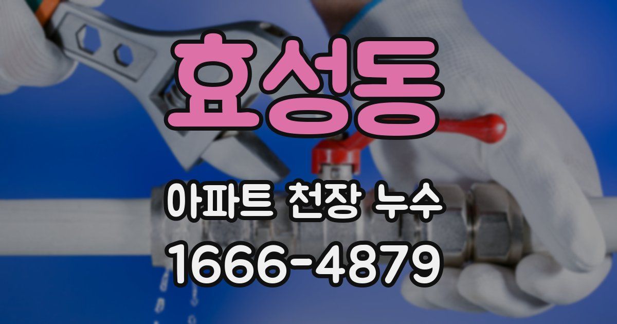 효성동 아파트 천장 누수