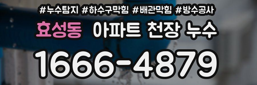 효성동 아파트 천장 누수