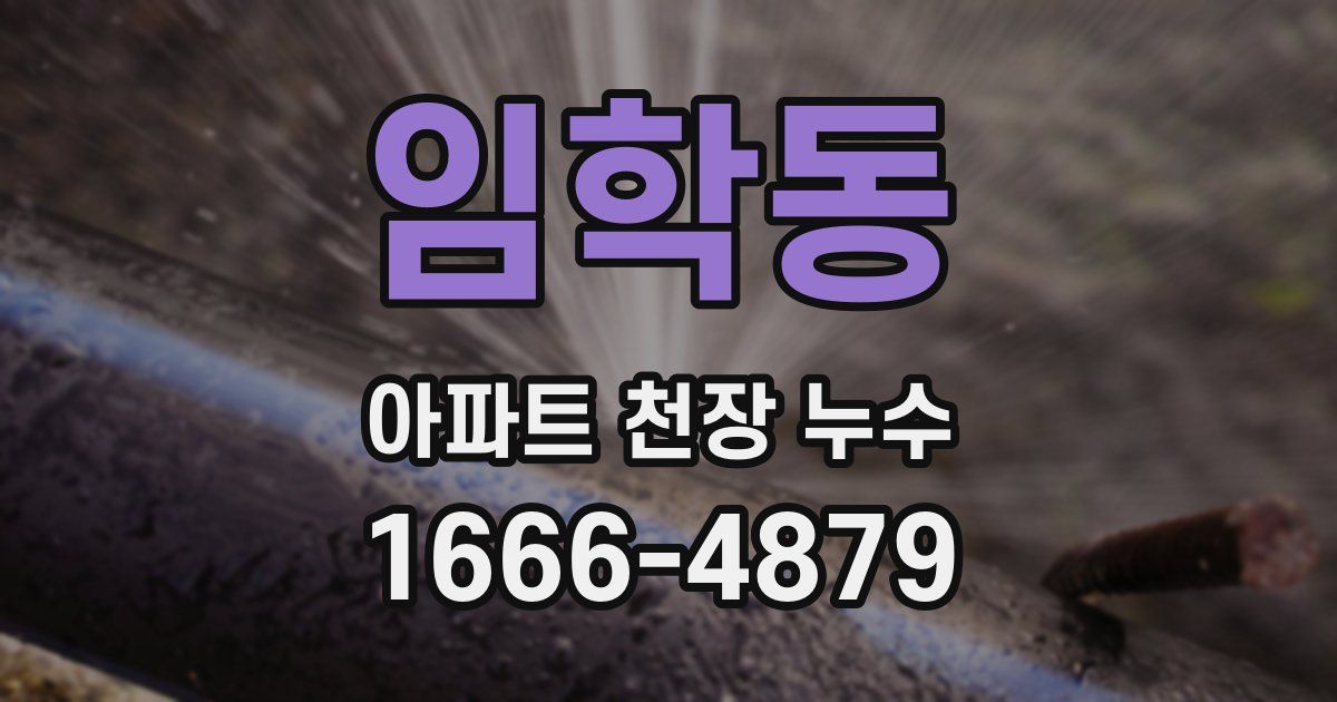 임학동 아파트 천장 누수