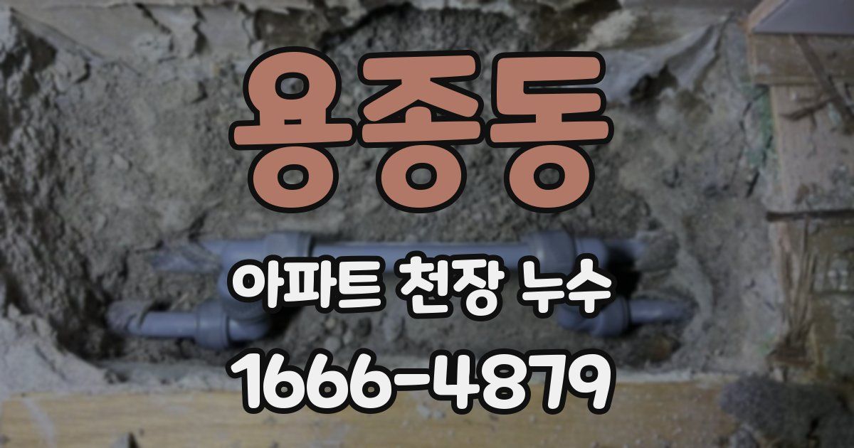 용종동 아파트 천장 누수