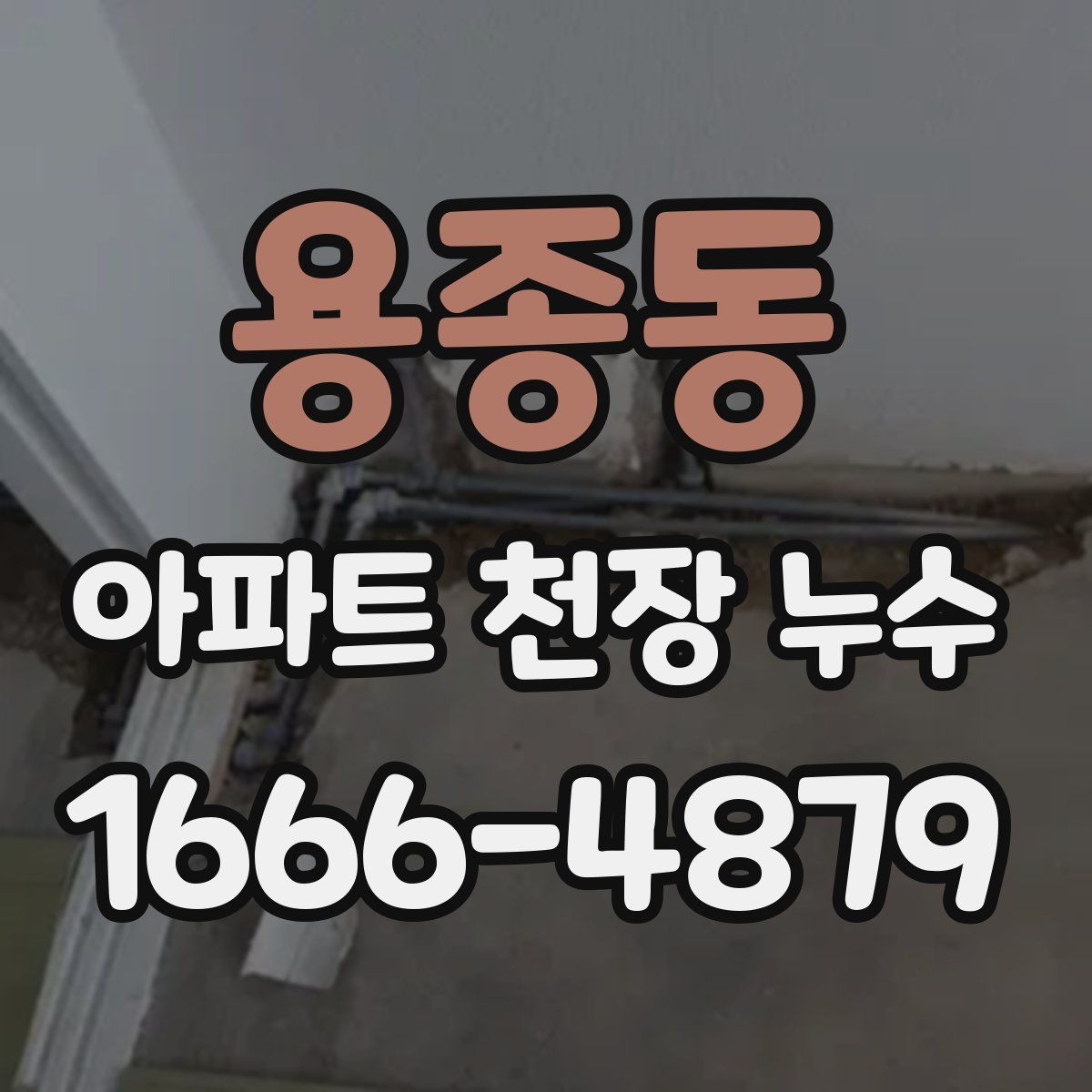 용종동 아파트 천장 누수