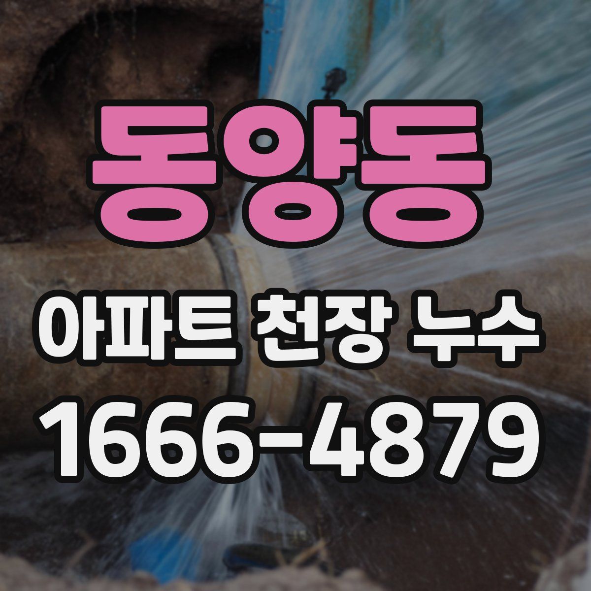 동양동 아파트 천장 누수