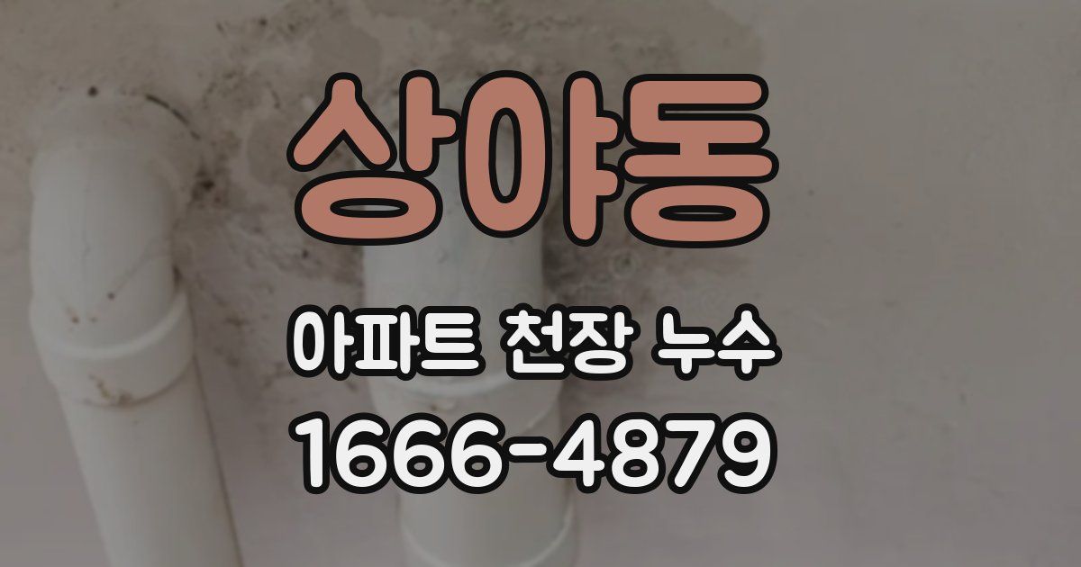 상야동 아파트 천장 누수