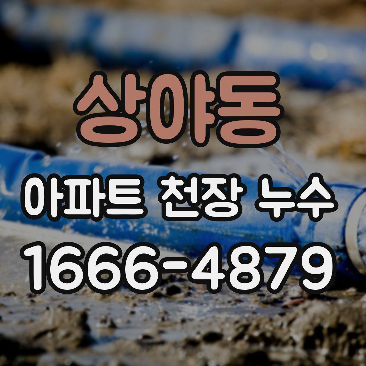 상야동 아파트 천장 누수