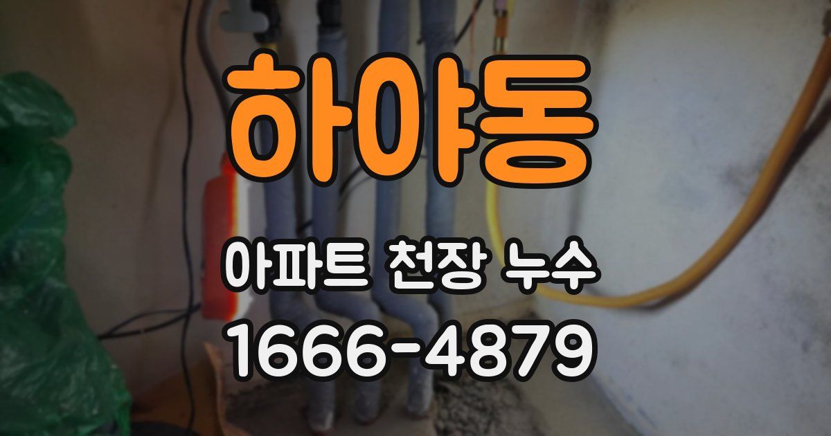 하야동 아파트 천장 누수