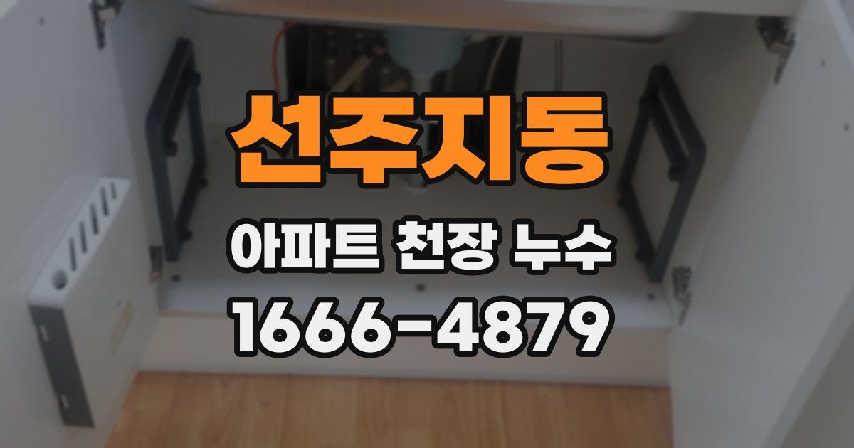 선주지동 아파트 천장 누수