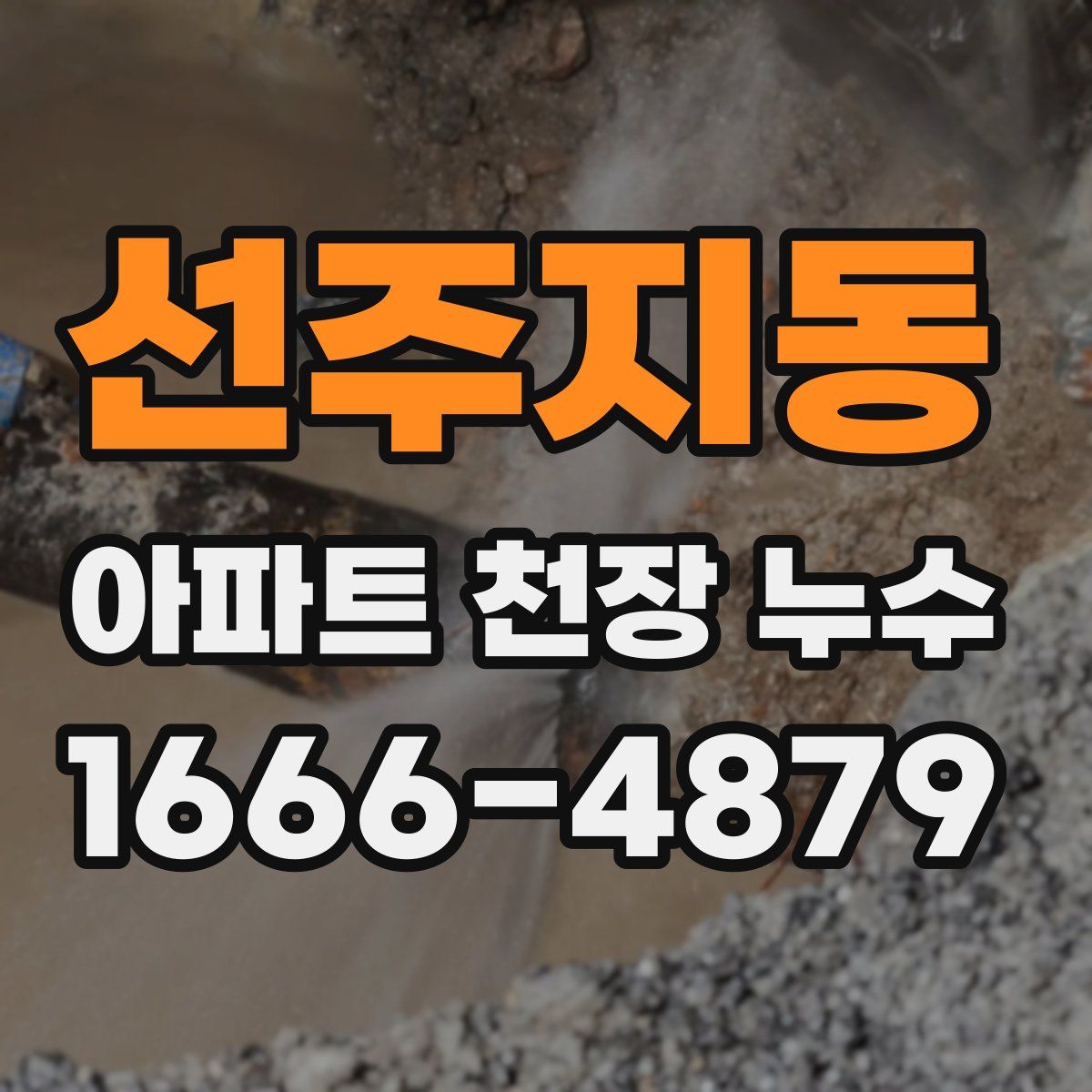 선주지동 아파트 천장 누수