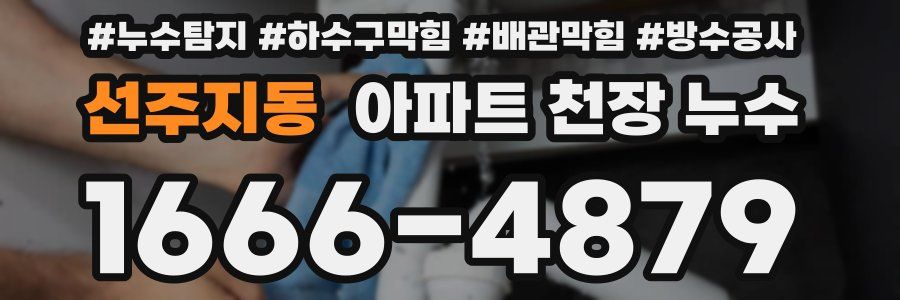 선주지동 아파트 천장 누수