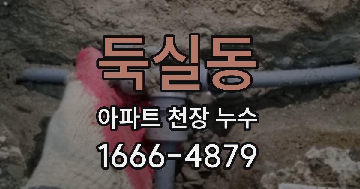 둑실동 아파트 천장 누수