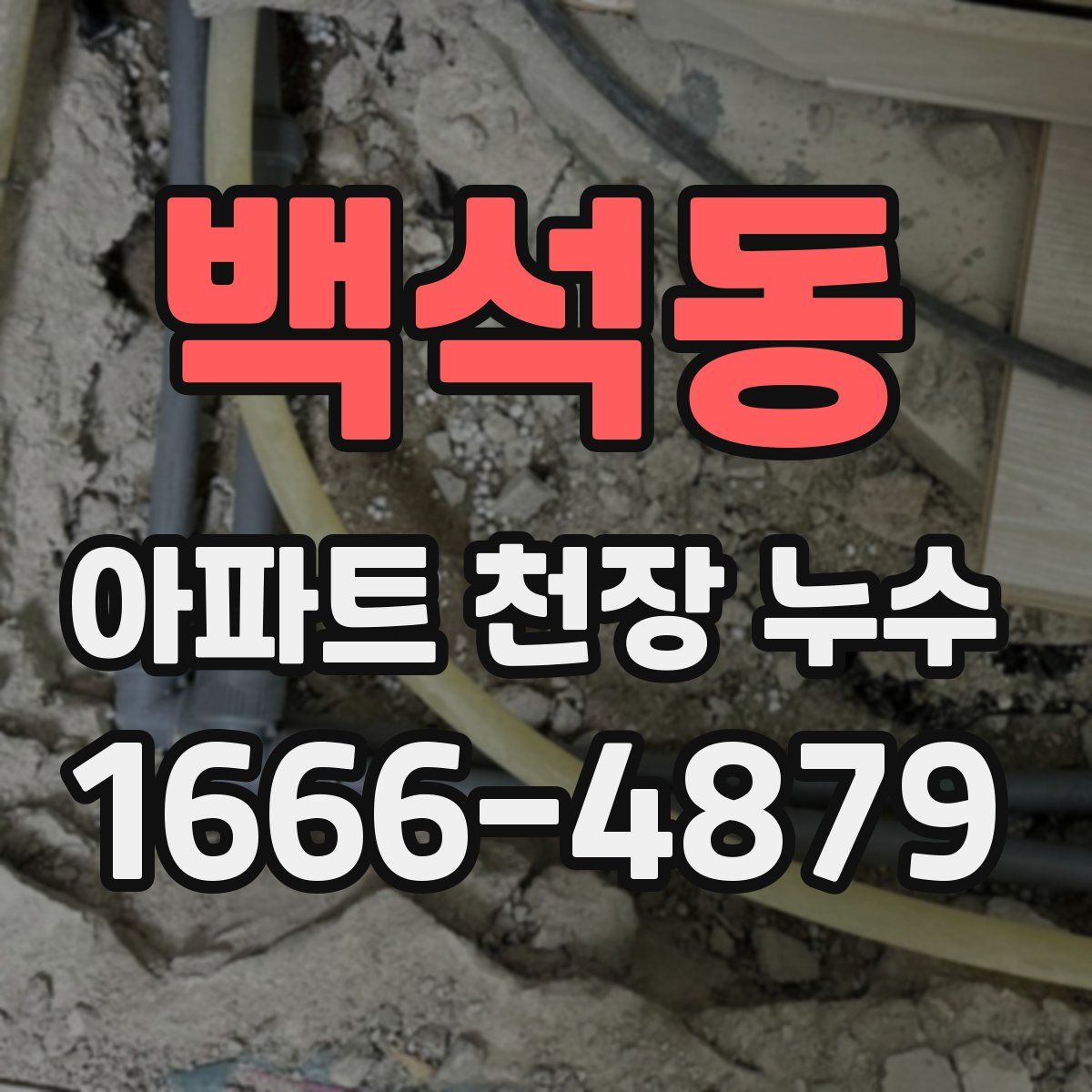 백석동 아파트 천장 누수