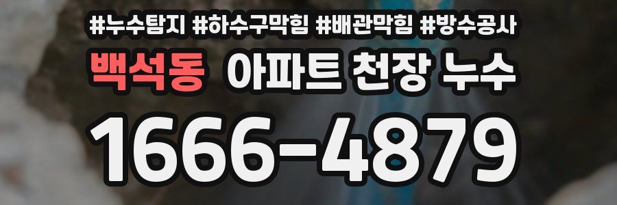 백석동 아파트 천장 누수