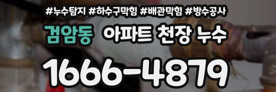 검암동 아파트 천장 누수