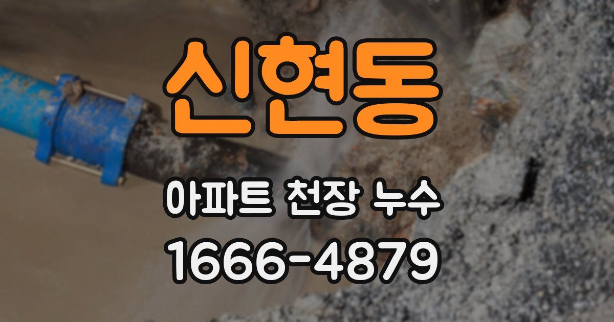 신현동 아파트 천장 누수