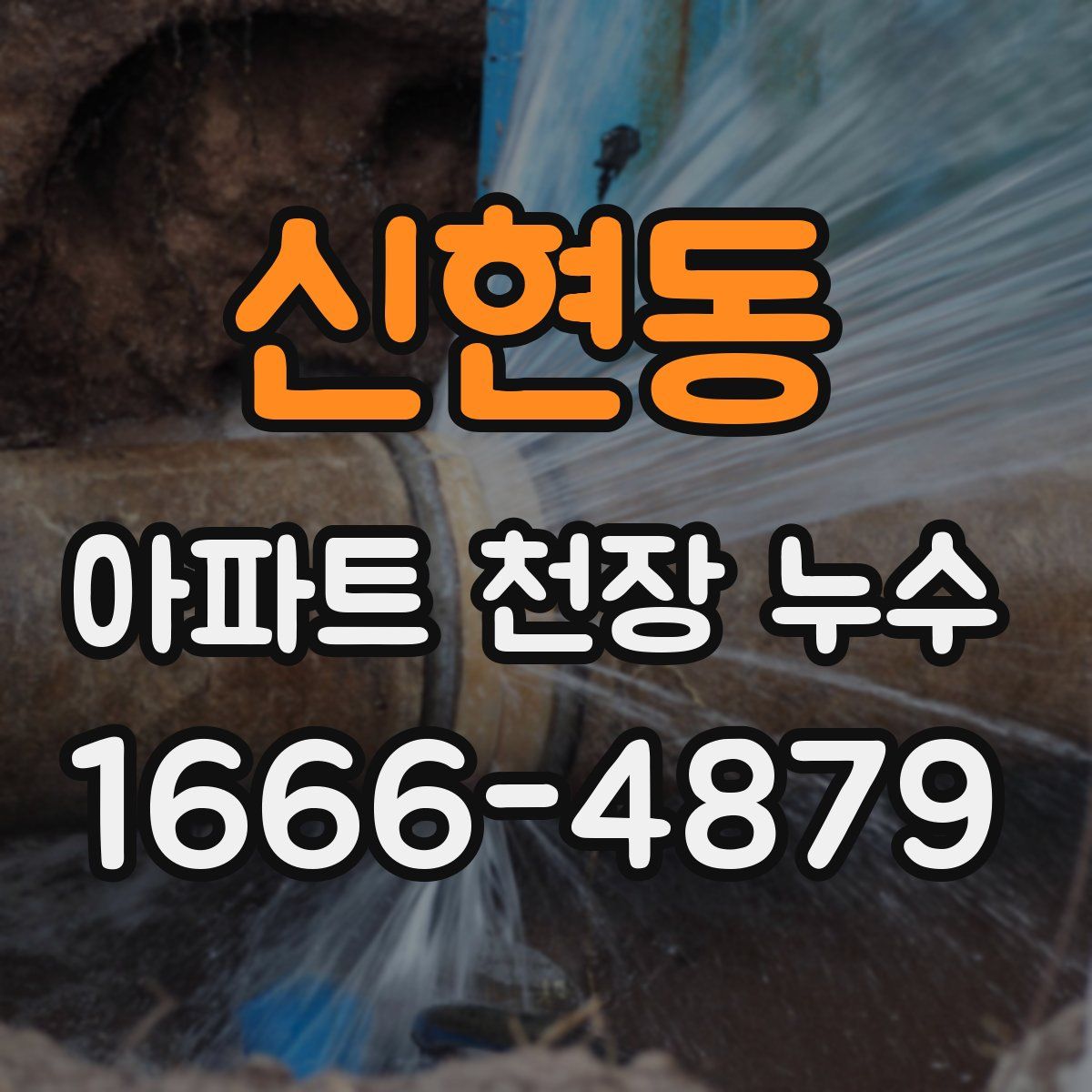 신현동 아파트 천장 누수