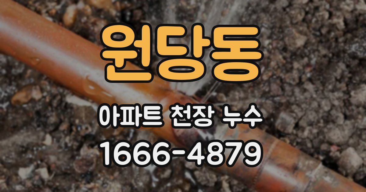 원당동 아파트 천장 누수
