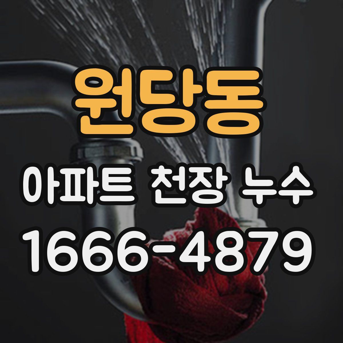 원당동 아파트 천장 누수