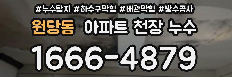 원당동 아파트 천장 누수
