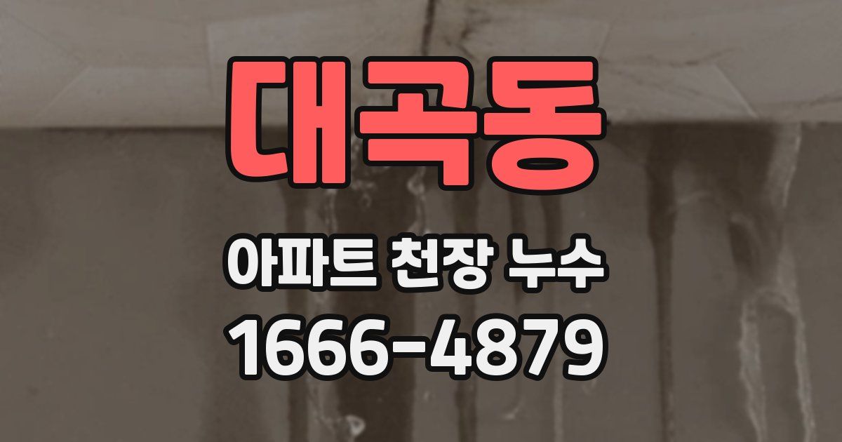 대곡동 아파트 천장 누수