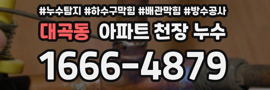 대곡동 아파트 천장 누수