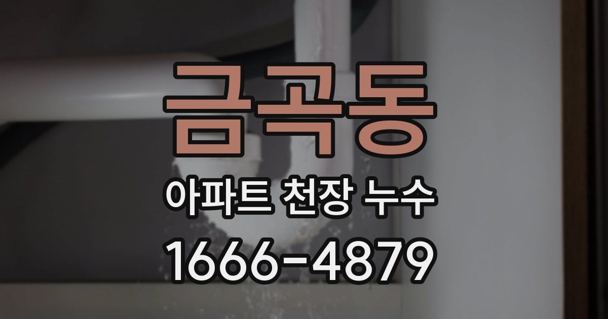 금곡동 아파트 천장 누수