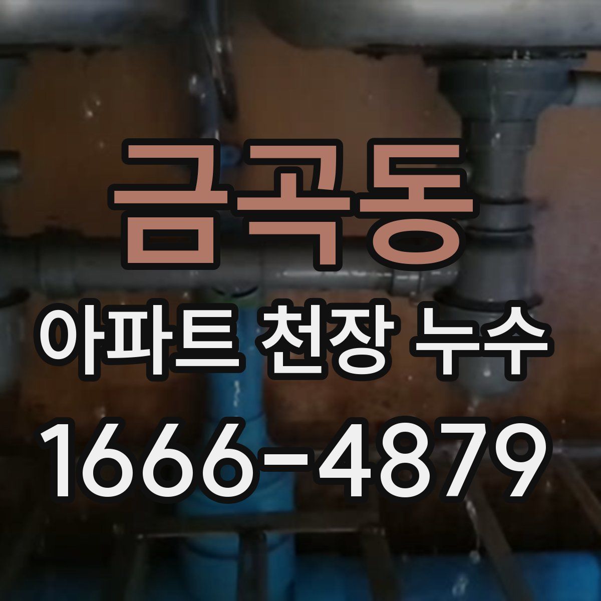 금곡동 아파트 천장 누수