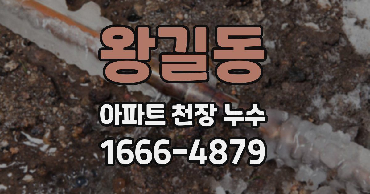 왕길동 아파트 천장 누수