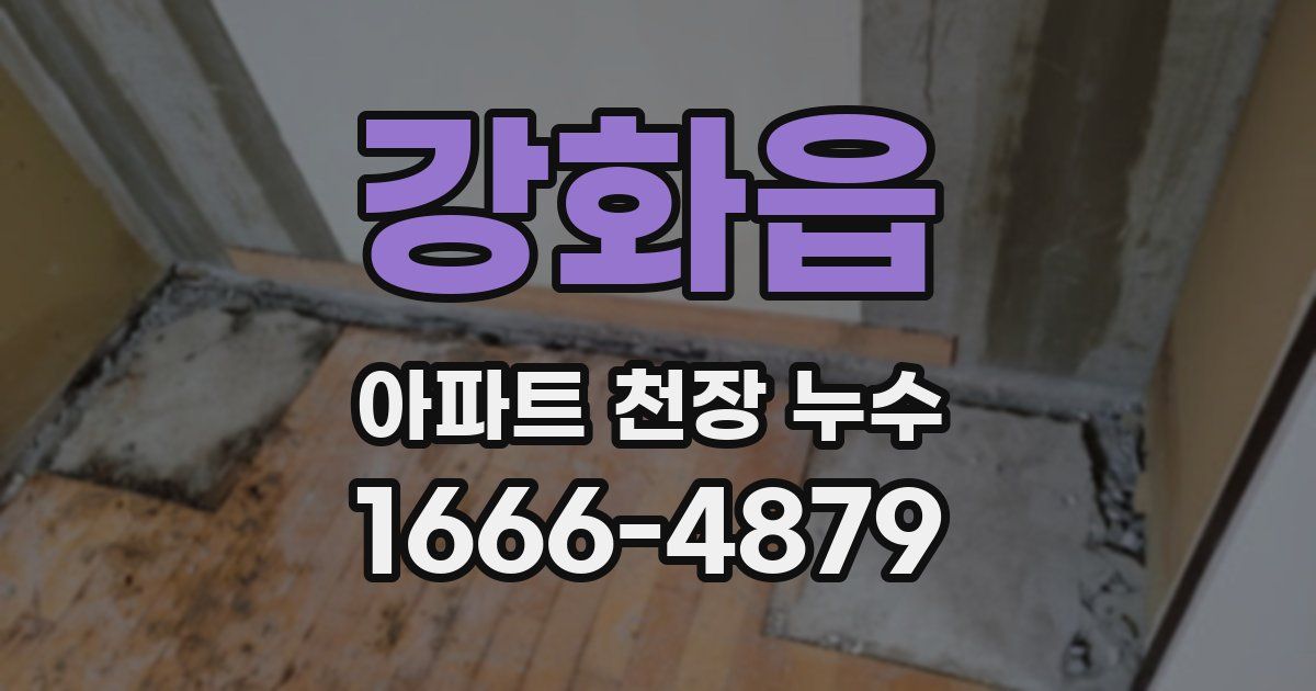 강화읍 아파트 천장 누수