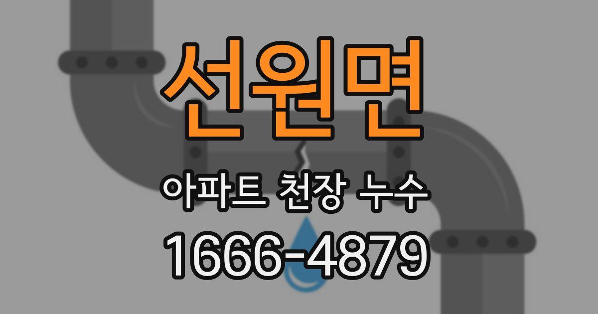 선원면 아파트 천장 누수