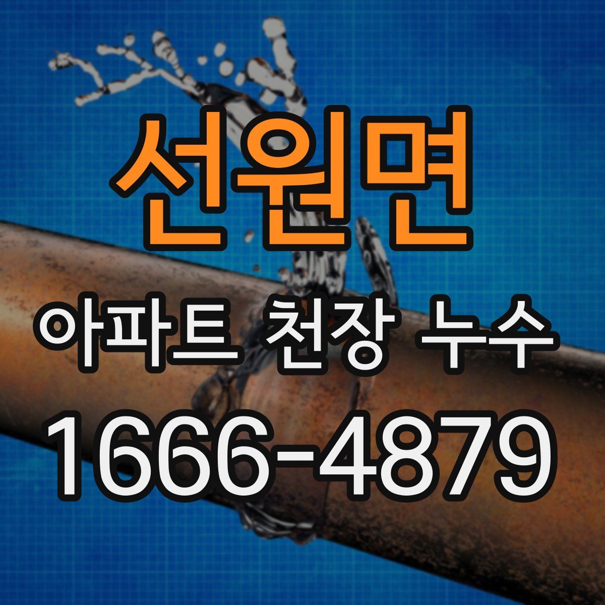 선원면 아파트 천장 누수