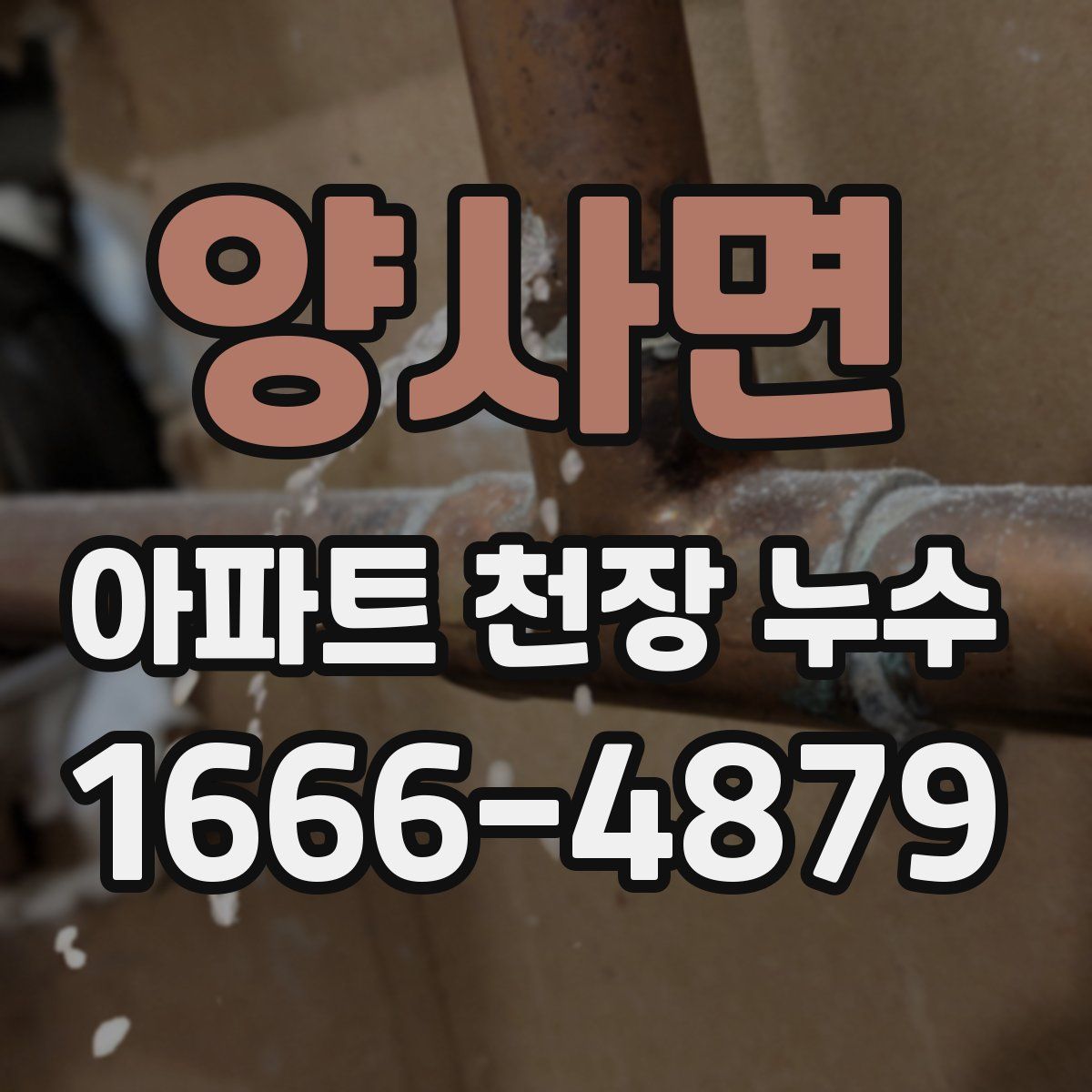 양사면 아파트 천장 누수