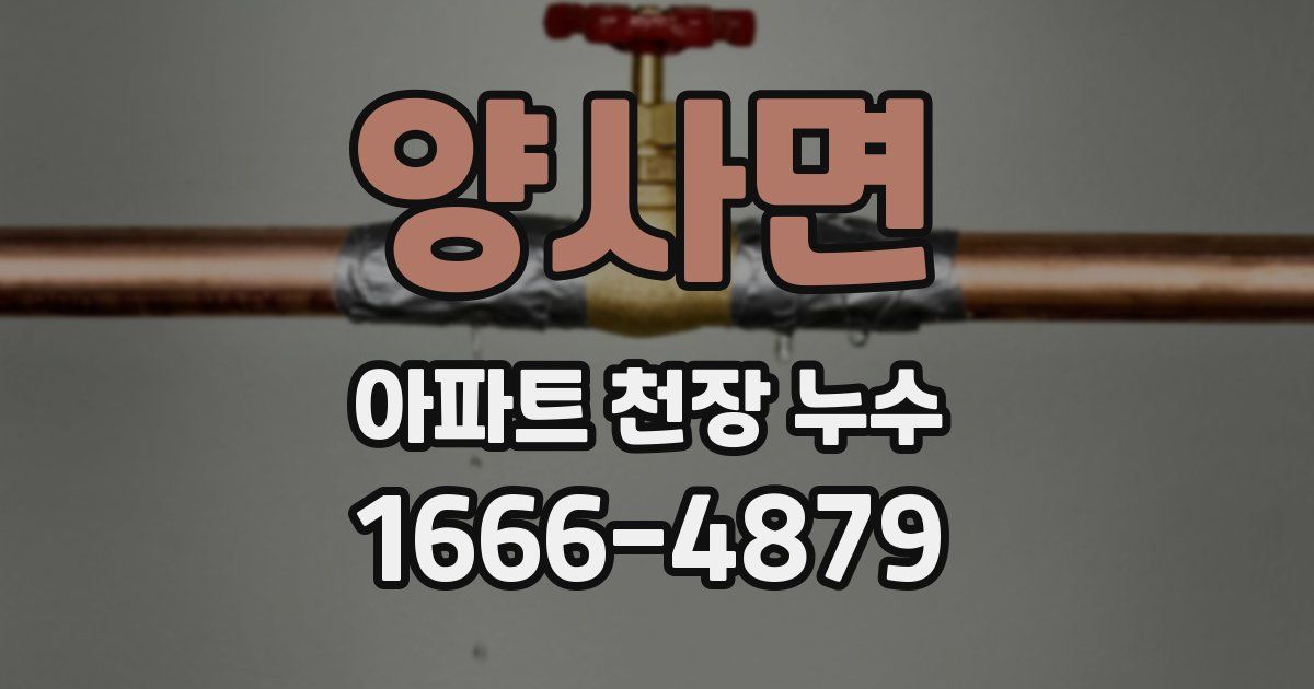 양사면 아파트 천장 누수