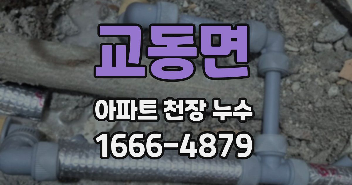 교동면 아파트 천장 누수