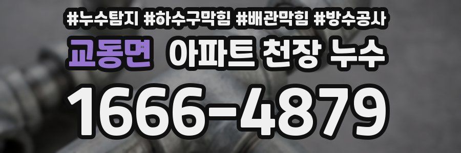 교동면 아파트 천장 누수