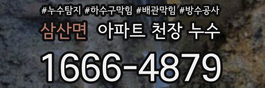 삼산면 아파트 천장 누수
