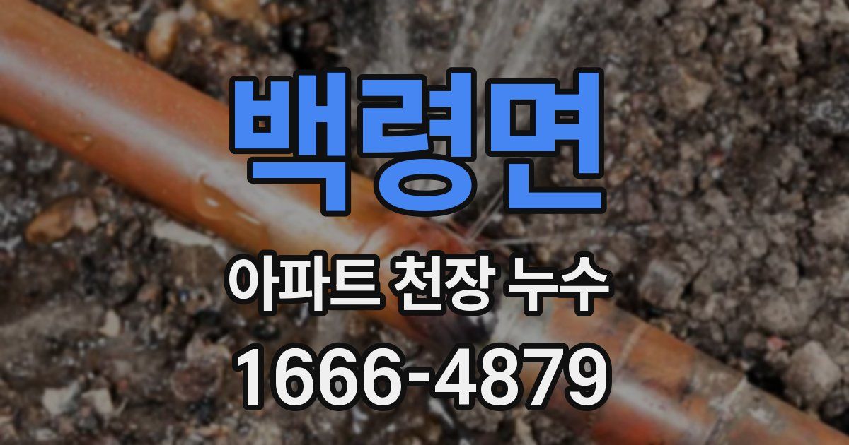 백령면 아파트 천장 누수