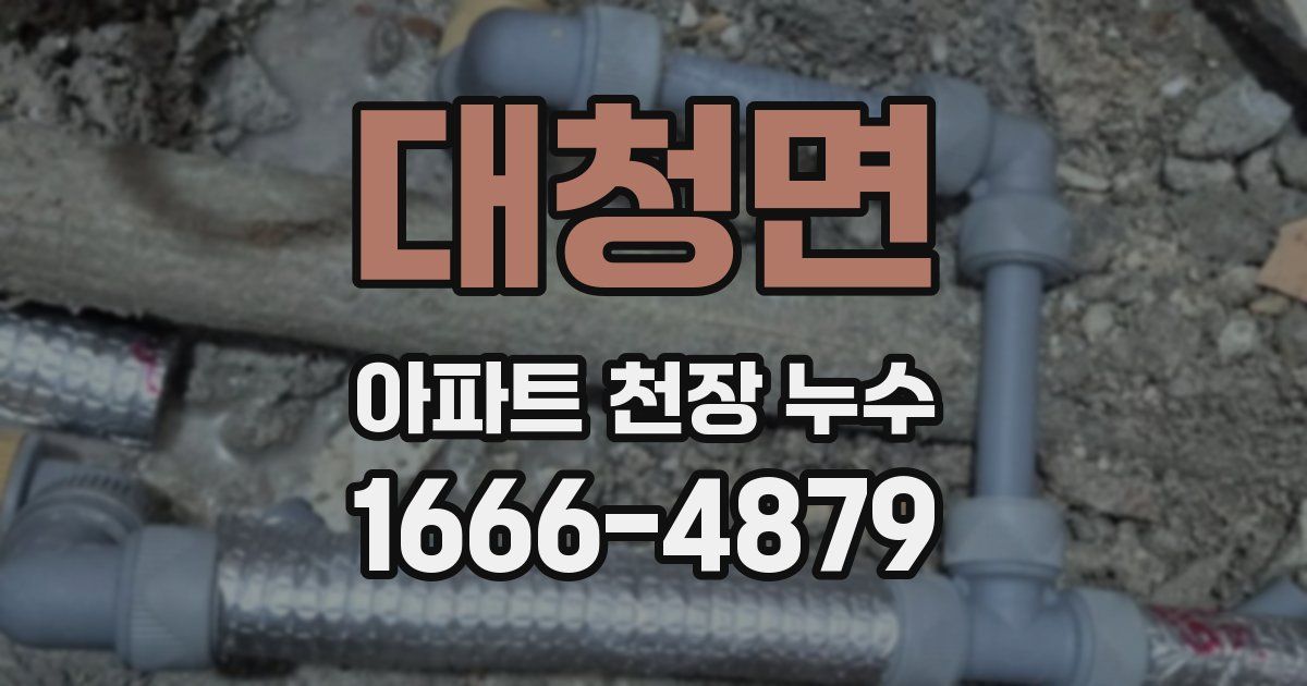 대청면 아파트 천장 누수