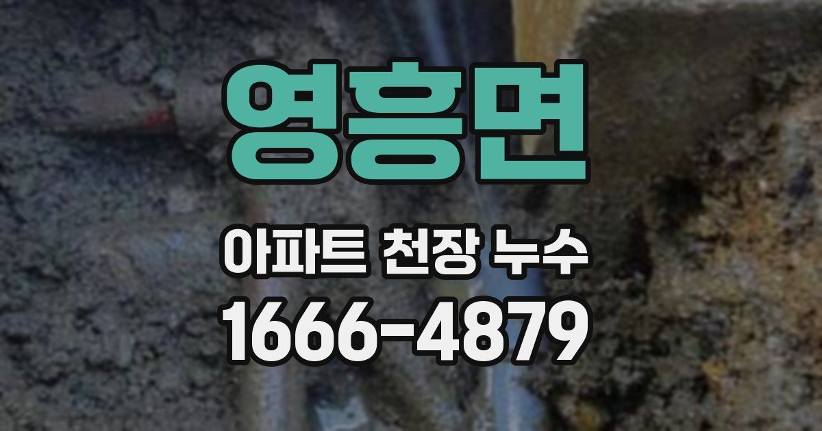영흥면 아파트 천장 누수