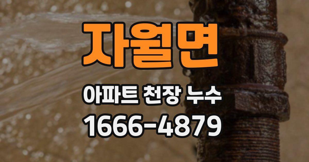 자월면 아파트 천장 누수