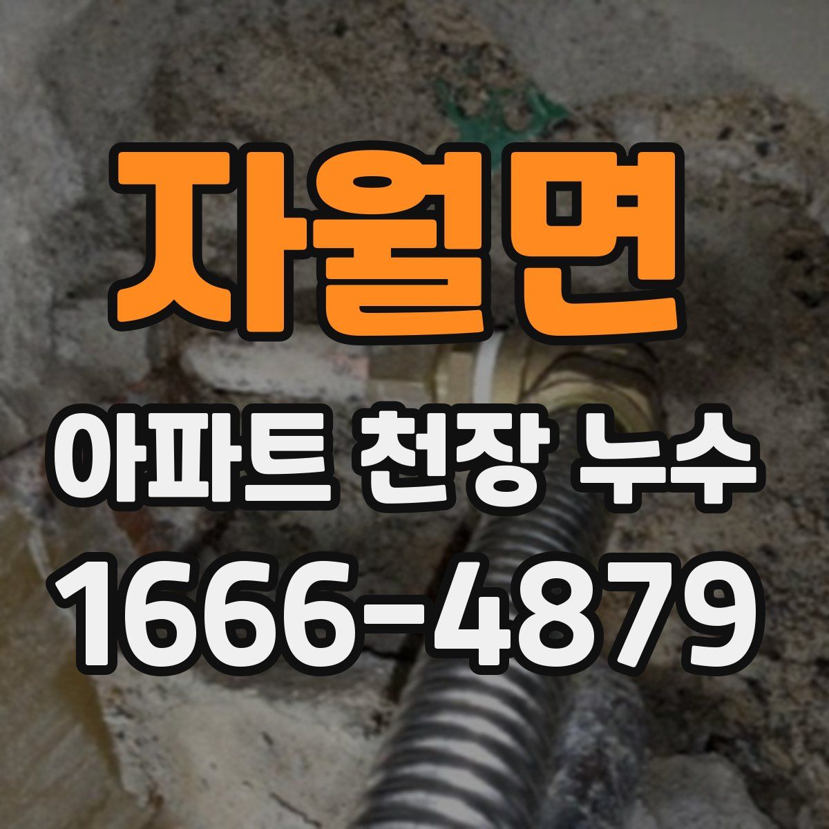 자월면 아파트 천장 누수
