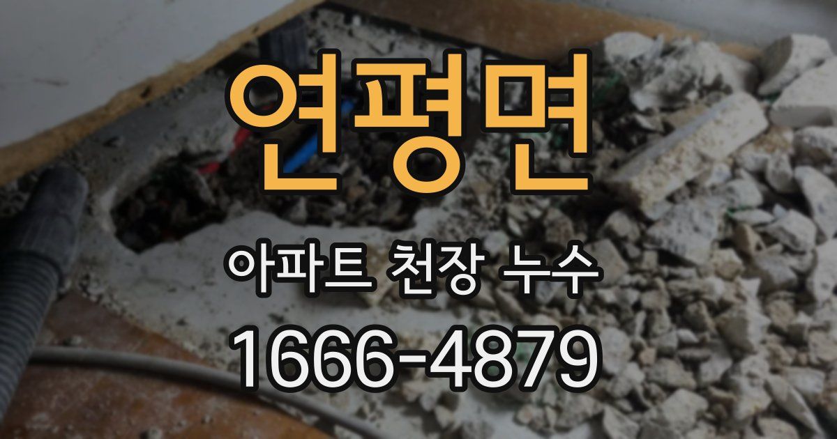 연평면 아파트 천장 누수