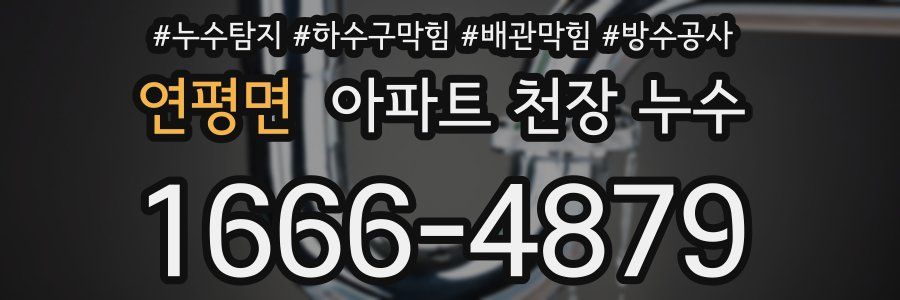 연평면 아파트 천장 누수